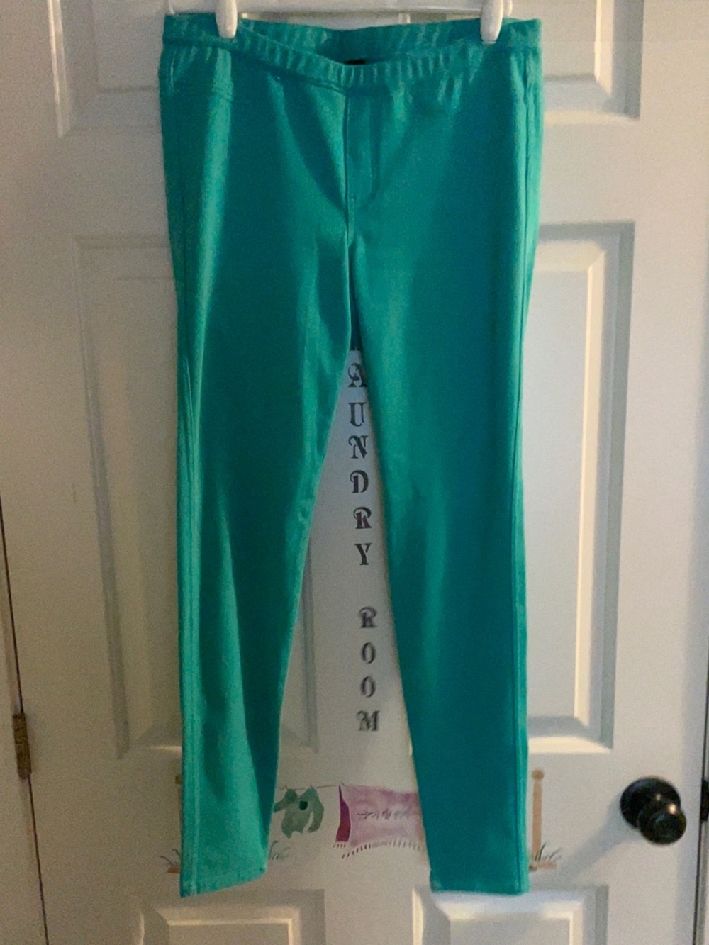 Hue Brand Jeggings